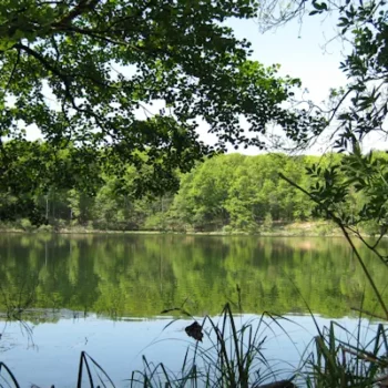 Wielkopolski Park Narodowy