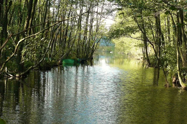 bogdanka rzeka